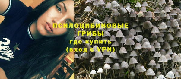 таблы Дмитров