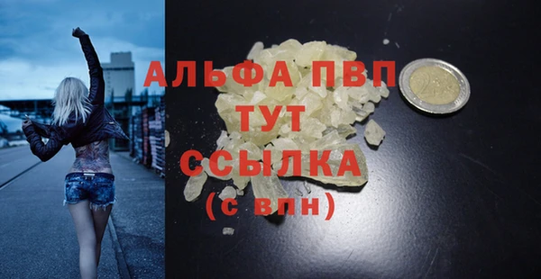 эйфоретик Дмитриев